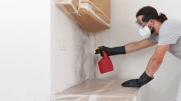 Professional Mold Removal technician working in Sunbury, NC